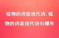 植物的诗歌现代诗有哪些【100句文案精选】