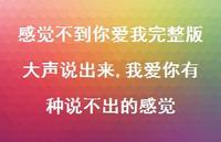我爱你有种说不出的感觉(100句) 我爱你有种说不出的感觉(100句)