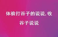 收谷子说说(100句) 收谷子说说(100句)