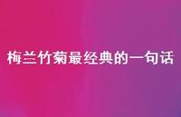 梅兰竹菊最经典的一句话(精选50句) 梅兰竹菊最经典的一句话(精选50句)