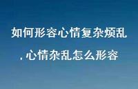 心情杂乱怎么形容(100句) 心情杂乱怎么形容(100句)