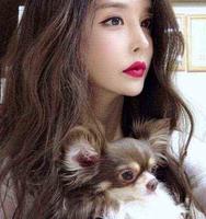 河莉秀社交网站发长文 坦言因恶意攻击身心俱疲