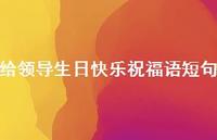 给领导生日快乐祝福语短句合集41句精选