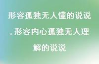 形容内心孤独无人理解的说说【100句文案】