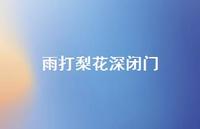 雨打梨花深闭门64句汇总