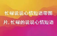忙碌的说说心情短语【精选100句】 忙碌的说说心情短语【精选100句】