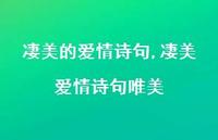 凄美爱情诗句唯美【精品文案100句】 凄美爱情诗句唯美【精品文案100句】