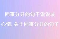 关于同事分开的句子【精选100句】