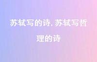 苏轼写哲理的诗【精品文案100句】