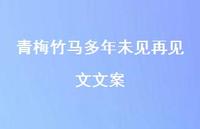 青梅竹马多年未见再见文文案【100句精选短句合集】 青梅竹马多年未见再见文文案【100句精选短句合集】