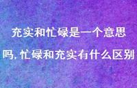 忙碌和充实有什么区别(100句)