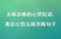 表达心情五味杂陈句子(100句) 表达心情五味杂陈句子(100句)