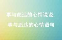 事与愿违的心情语句(100句) 事与愿违的心情语句(100句)