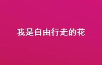我是自由行走的花42句汇总 我是自由行走的花42句汇总