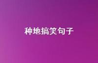 种地搞笑句子【100句精选短句合集】