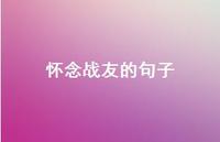 怀念战友的句子【100句精选短句合集】