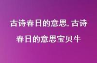 古诗春日的意思宝贝牛【精品文案100句】 古诗春日的意思宝贝牛【精品文案100句】