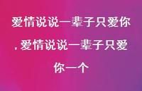 爱情说说一辈子只爱你一个【100句文案】 爱情说说一辈子只爱你一个【100句文案】