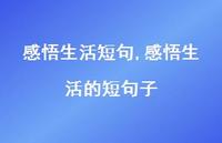 感悟生活的短句子(100句)