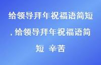 给领导拜年祝福语简短 辛苦【100句文案精选】