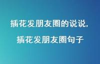 插花发朋友圈句子(100句) 插花发朋友圈句子(100句)