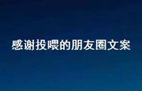 感谢投喂的朋友圈文案【100句精选短句合集】 感谢投喂的朋友圈文案【100句精选短句合集】