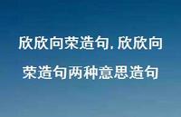 欣欣向荣造句两种意思造句【100句文案精选】