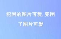 犯困了图片可爱【100句文案】