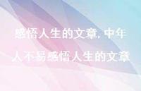 中年人不易感悟人生的文章【100句文案精选】 中年人不易感悟人生的文章【100句文案精选】