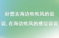 在海边吹风的感觉说说(100句)
