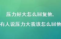 有人说压力大我该怎么回他(100句) 有人说压力大我该怎么回他(100句)