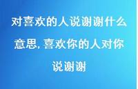 喜欢你的人对你说谢谢(100句) 喜欢你的人对你说谢谢(100句)