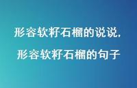 形容软籽石榴的句子(100句) 形容软籽石榴的句子(100句)