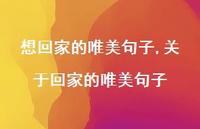 关于回家的唯美句子(100句) 关于回家的唯美句子(100句)