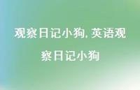 英语观察日记小狗【100句文案精选】