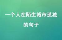 一个人在陌生城市孤独的句子(精选53句) 一个人在陌生城市孤独的句子(精选53句)