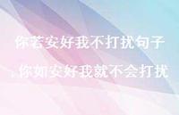 你如安好我就不会打扰(100句)