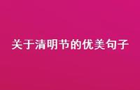 关于清明节的优美句子66句汇总