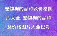 宠物狗的品种及价格图片大全巴哥【精选100句】 宠物狗的品种及价格图片大全巴哥【精选100句】
