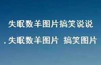 失眠数羊图片 搞笑图片【100句文案】 失眠数羊图片 搞笑图片【100句文案】