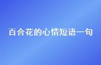 百合花的心情短语一句(精选46句) 百合花的心情短语一句(精选46句)