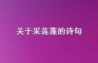 关于采莲蓬的诗句(精选61句)