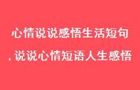 说说心情短语人生感悟(100句)