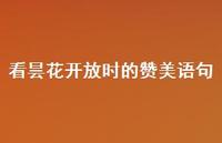 看昙花开放时的赞美语句(精选45句)