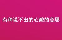 有种说不出的心酸的意思63句汇总