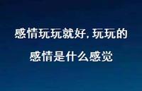 玩玩的感情是什么感觉(100句) 玩玩的感情是什么感觉(100句)