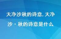 天净沙·秋的诗意是什么【精品文案100句】