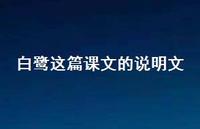 白鹭这篇课文的说明文(精选58句)