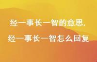 经一事长一智怎么回复(100句) 经一事长一智怎么回复(100句)