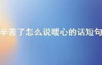 辛苦了怎么说暖心的话短句【100句精选短句合集】 辛苦了怎么说暖心的话短句【100句精选短句合集】